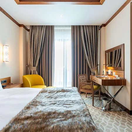 Hotel 3917 Kayseri
